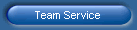 Team Service